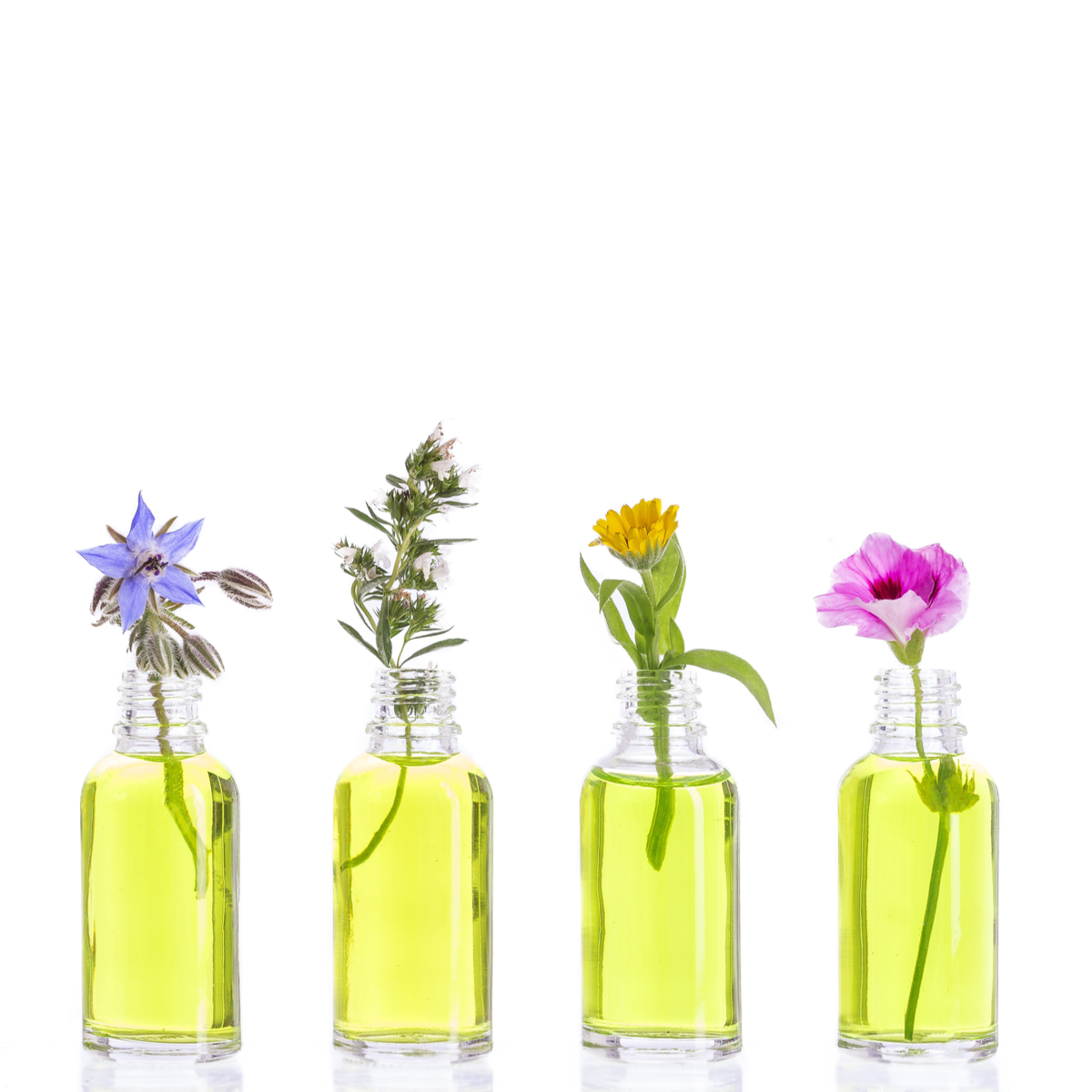 Aromatherapy Natural Essential Oil Manufacturing